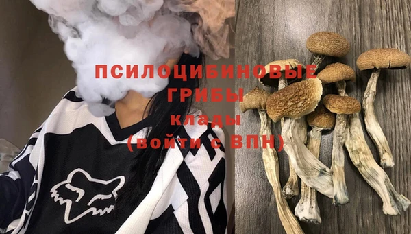 PSILOCYBIN Белоозёрский