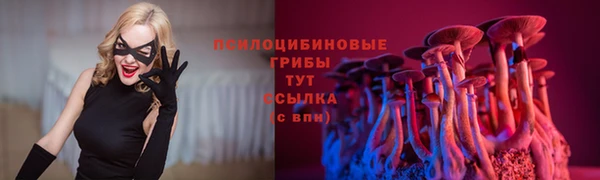 PSILOCYBIN Белоозёрский