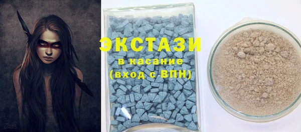 дживик Богородск
